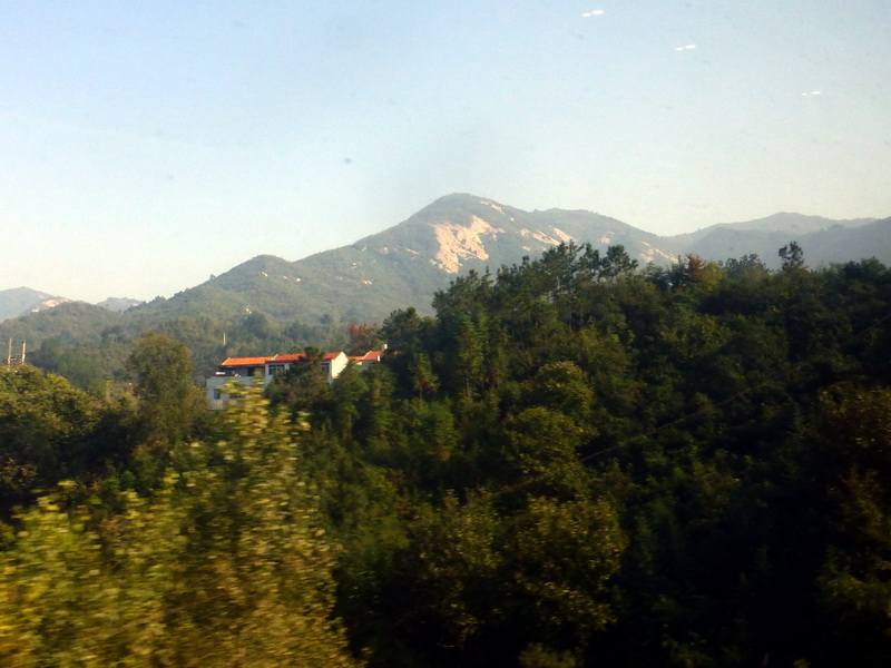 p1260641.jpg
