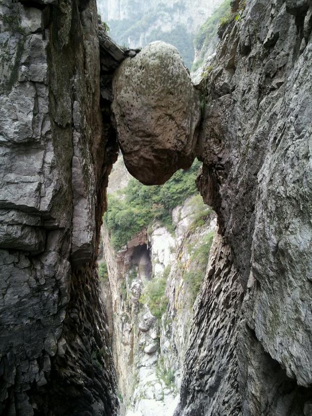 psbcaovja50.jpg
