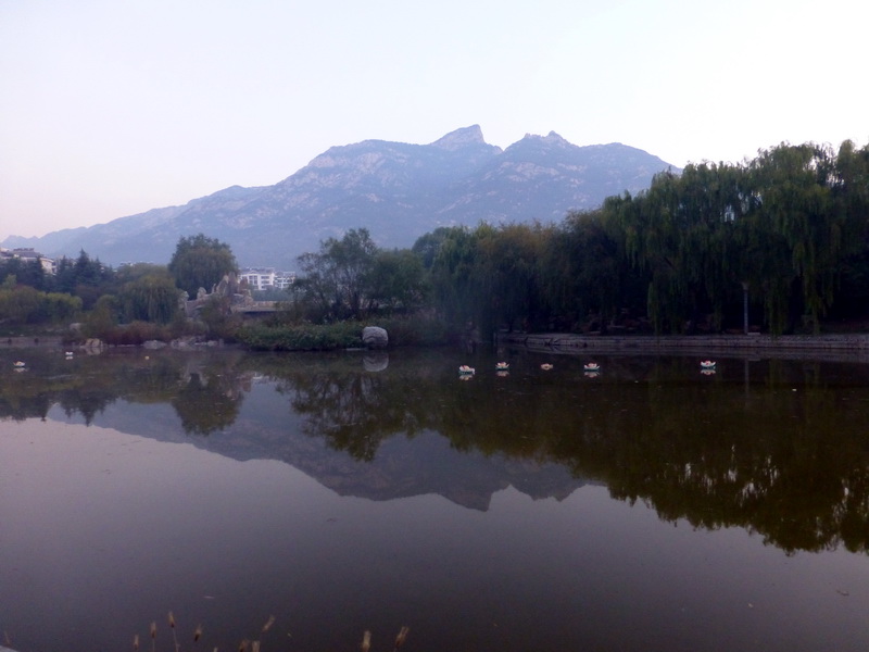p1260677.jpg