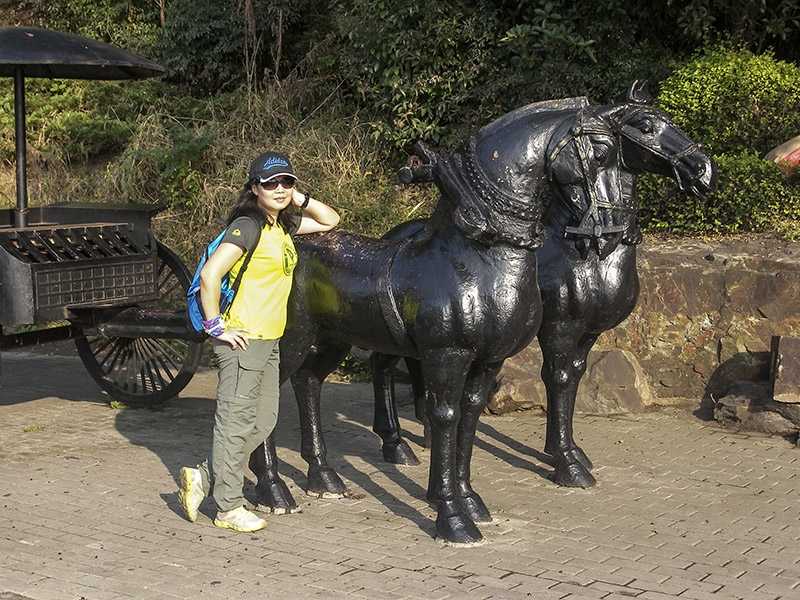 100_9096 02.jpg