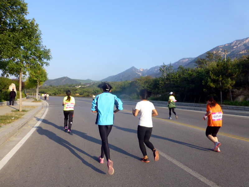 p1260739.jpg