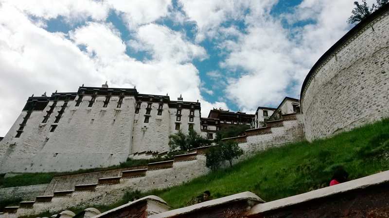 20140904_115118_.jpg
