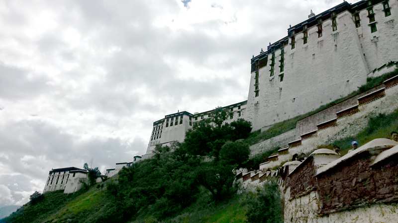 20140904_115106_.jpg