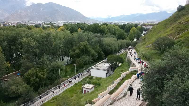 20140904_115008_.jpg