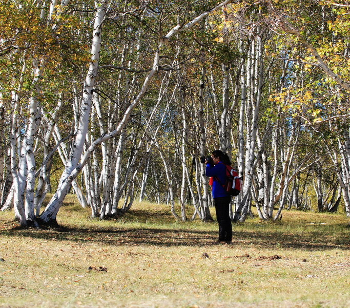 img_7320_СС.jpg