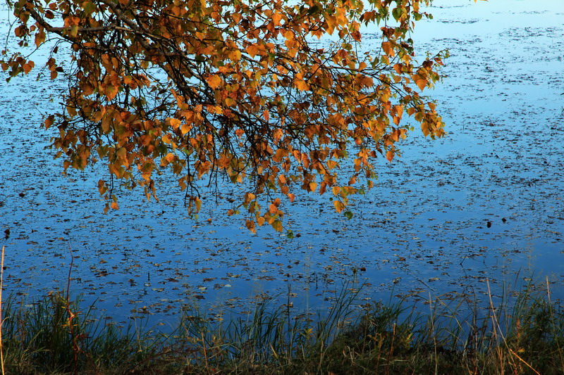 img_7767_СС.jpg