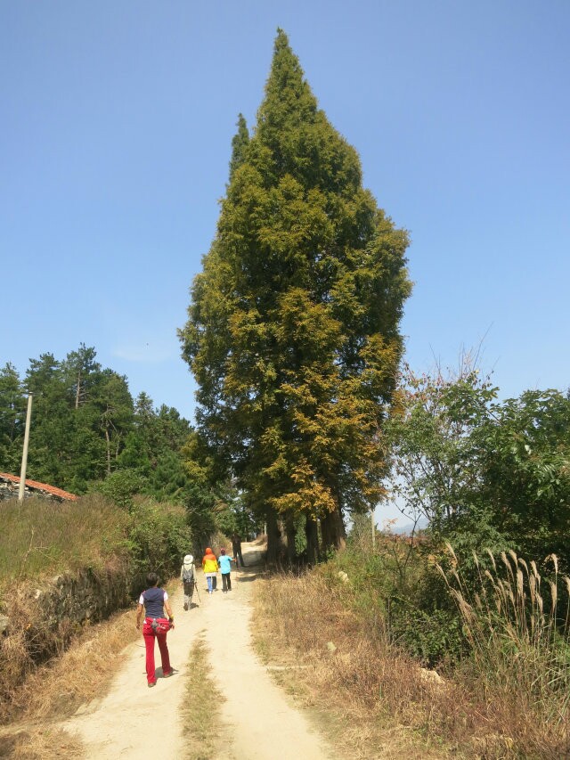 qqͼƬ20141007150436.jpg