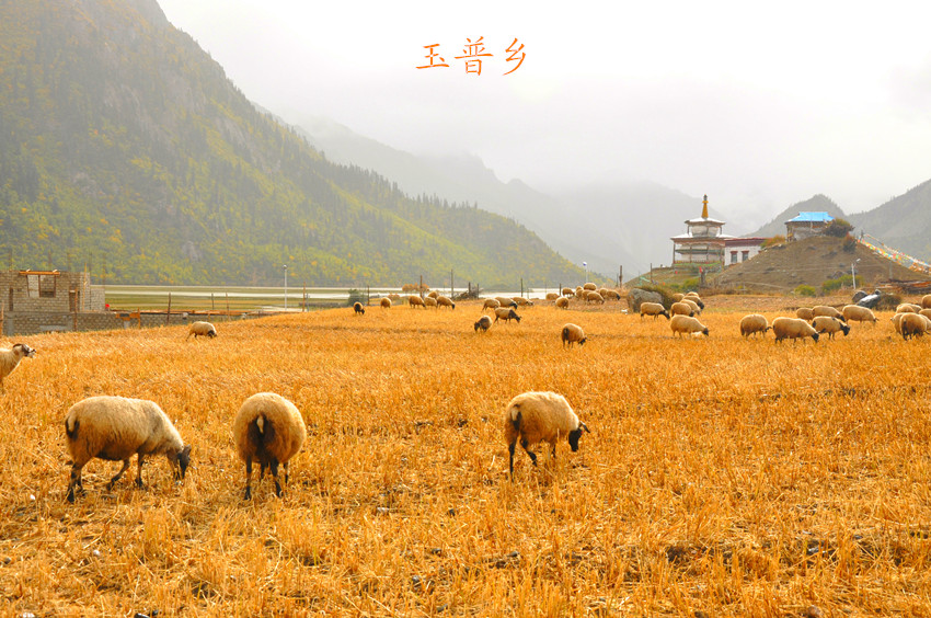 磨22գ.jpg