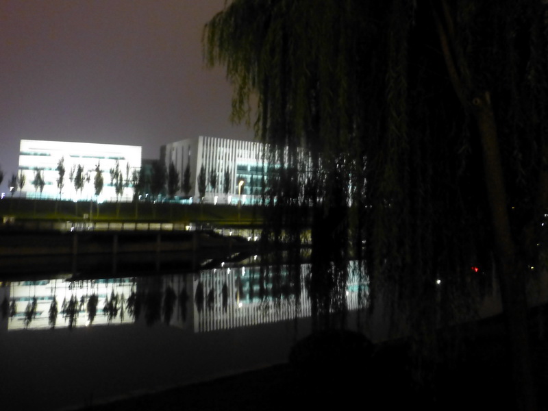p1260101.jpg