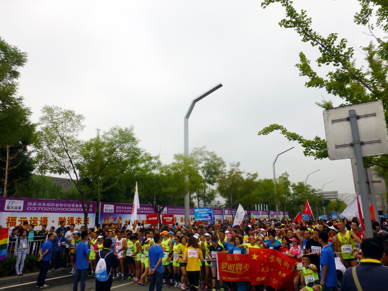 p1260126.jpg