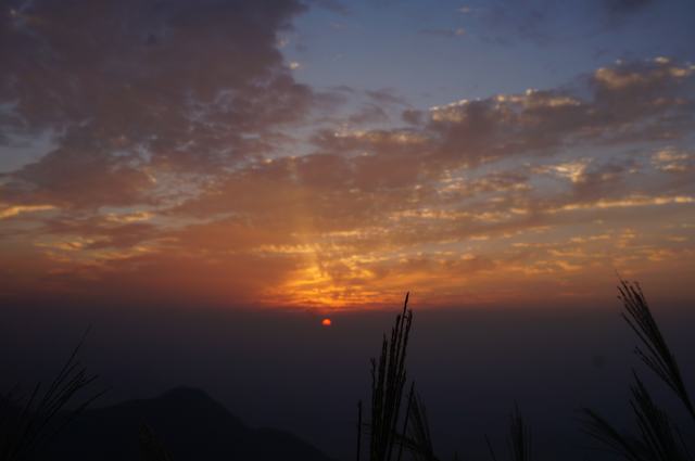 dsc07525.jpg