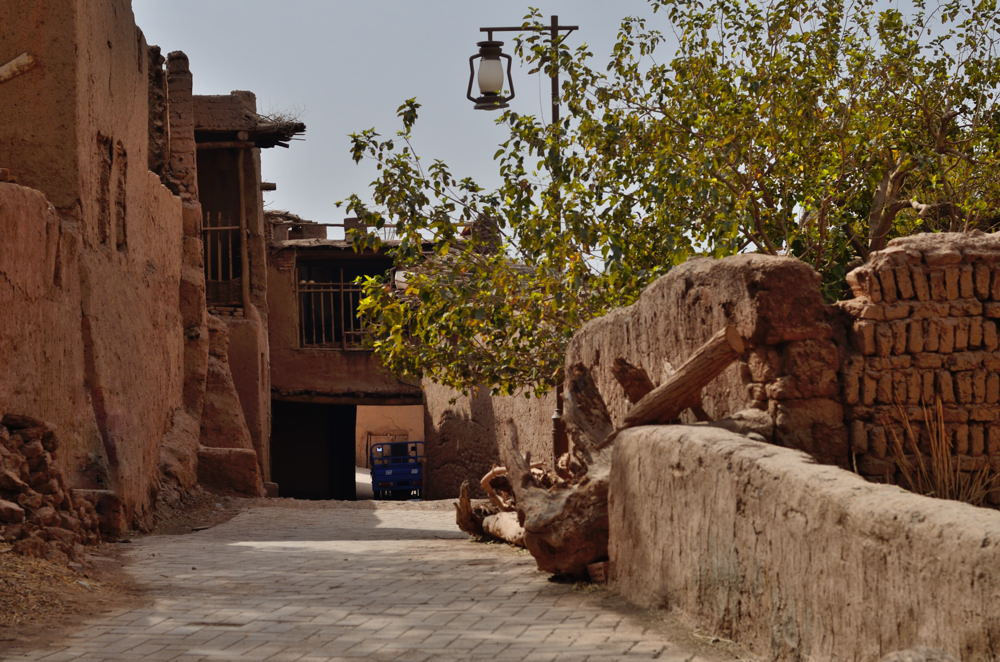 neo_img_dsc_7296.jpg