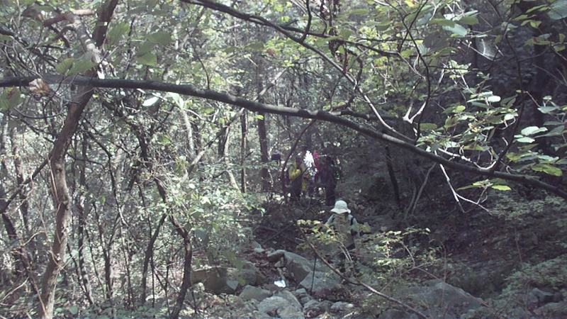 qqͼƬ20141007150856.jpg
