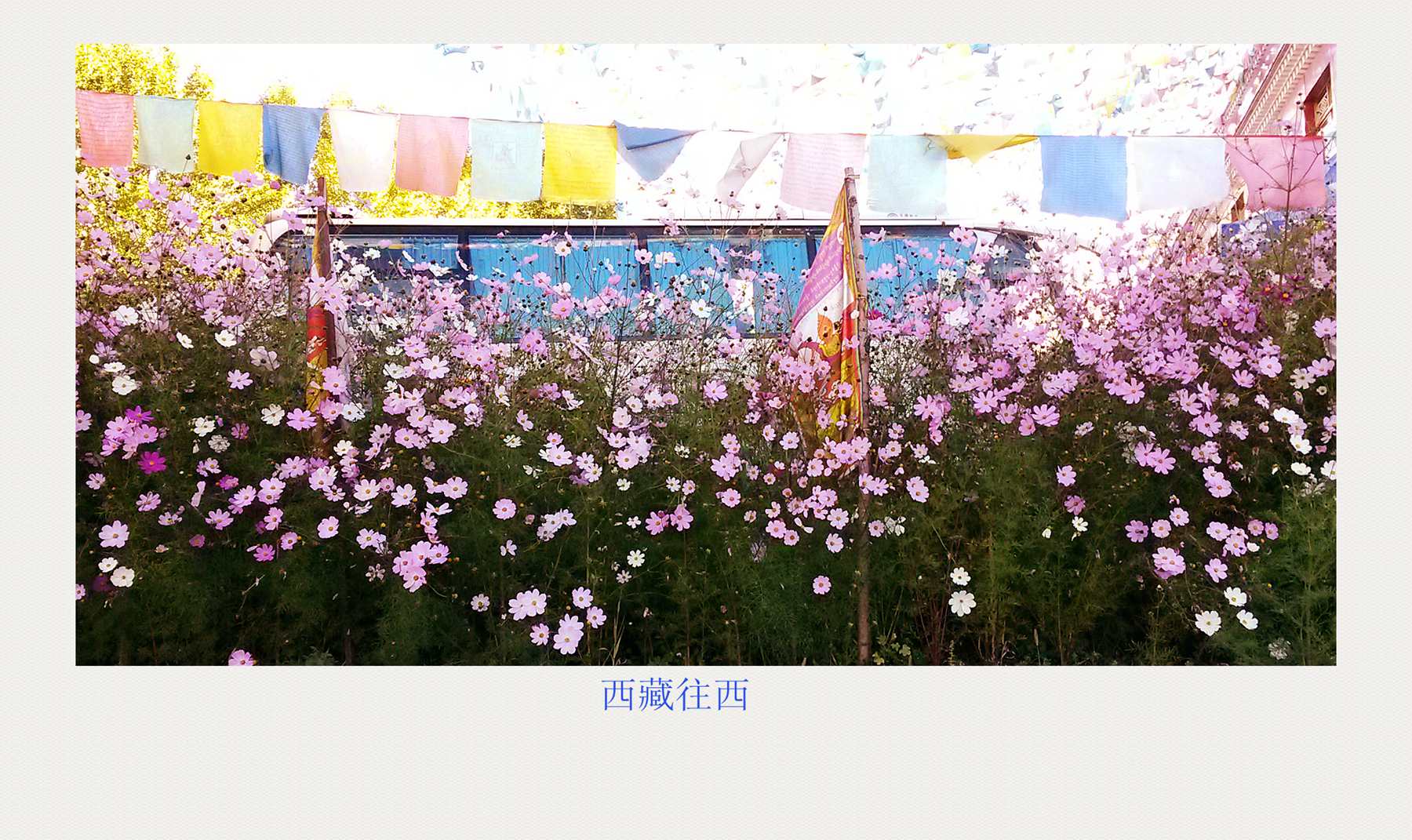 20140918_182314_.jpg