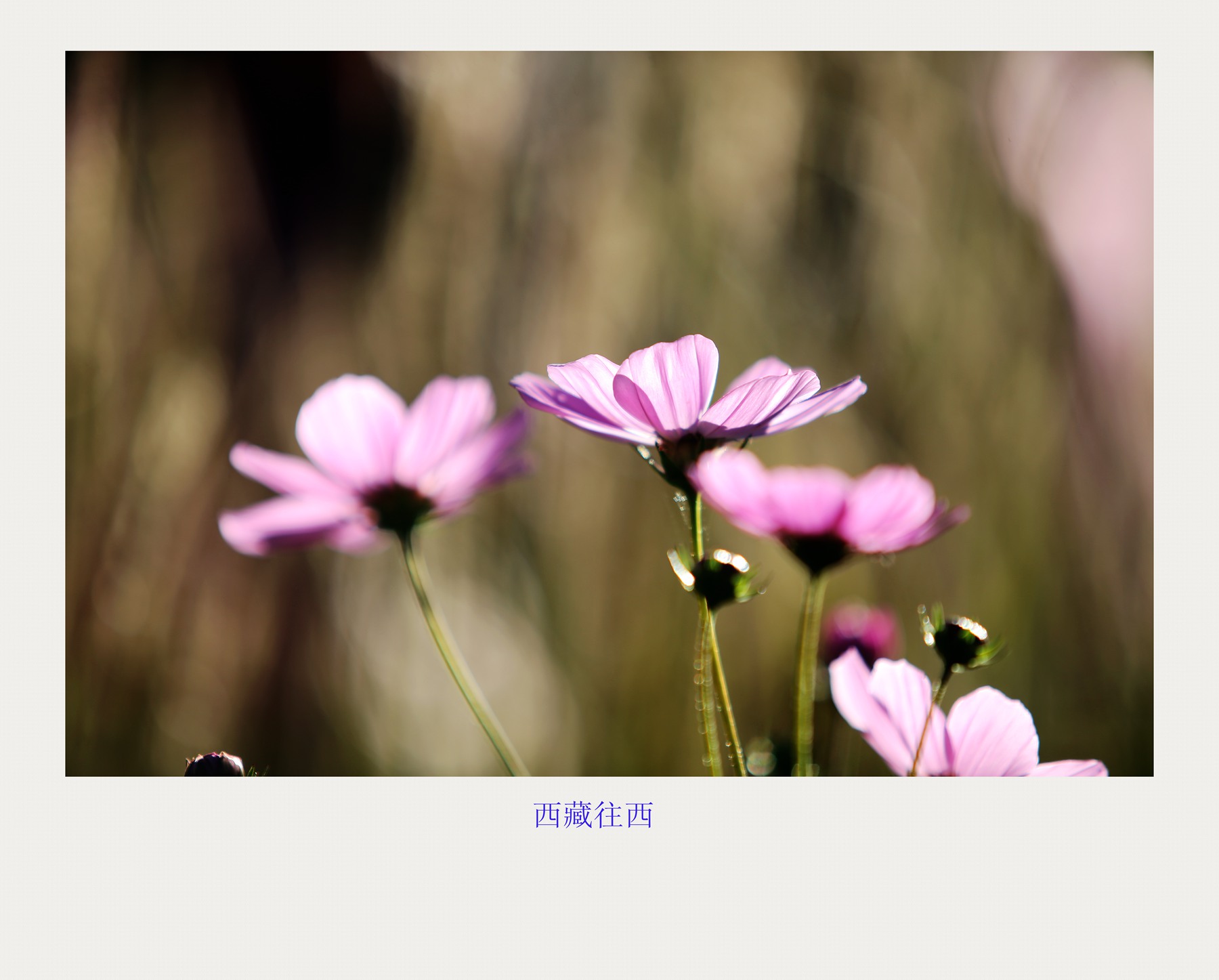 bw3p6286_.jpg