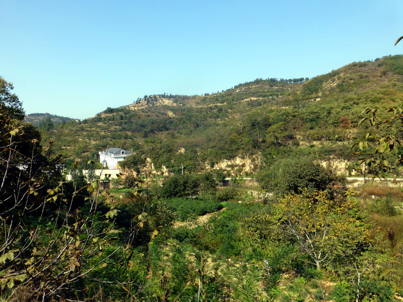 p1260855.jpg