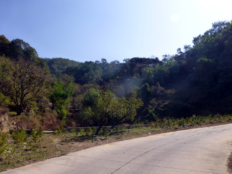 p1260873.jpg