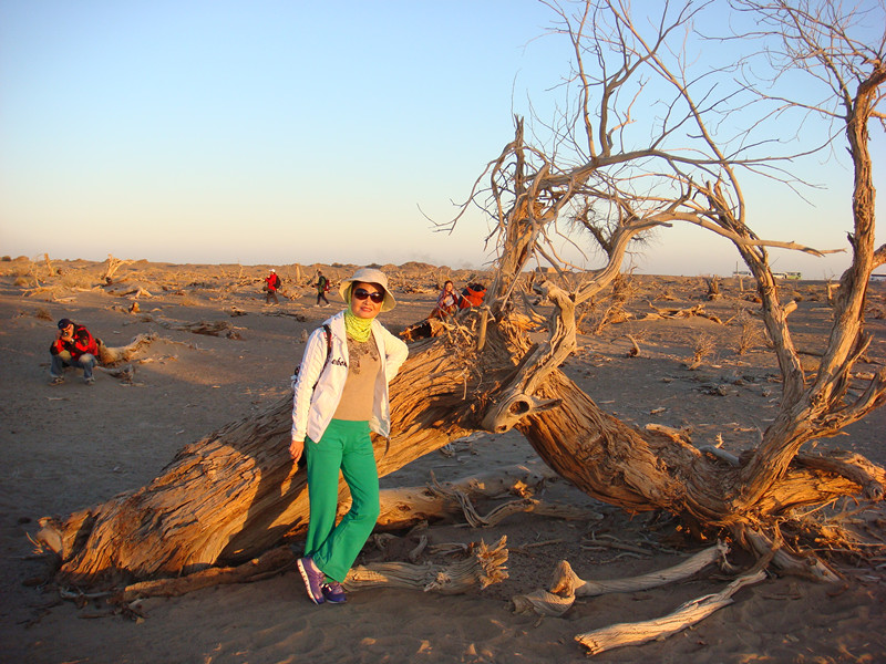 dsc08550_.jpg