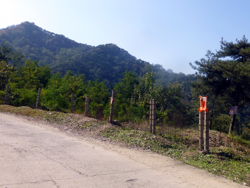 p1260877.jpg