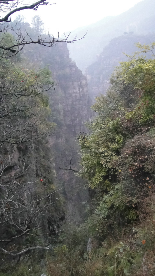 dsc09077.jpg