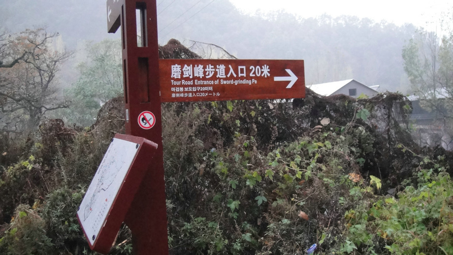 dsc09076.jpg