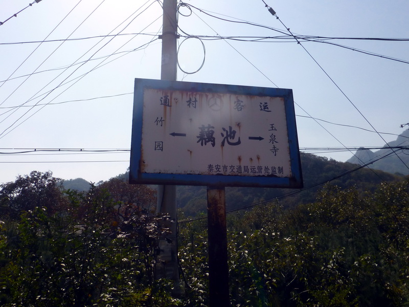 p1260891.jpg