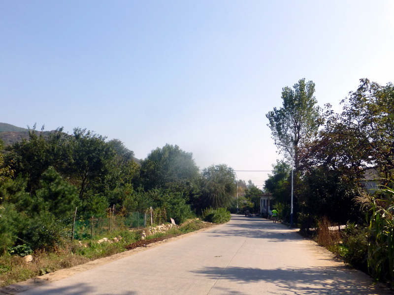 p1260893.jpg