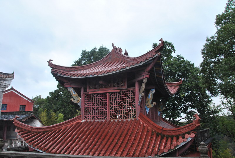 dsc_6890_调整大小.jpg