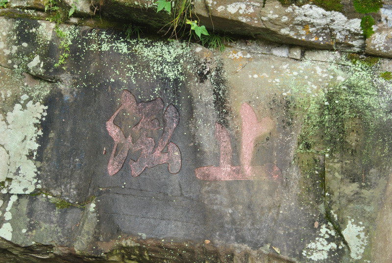 dsc_6911_调整大小.jpg