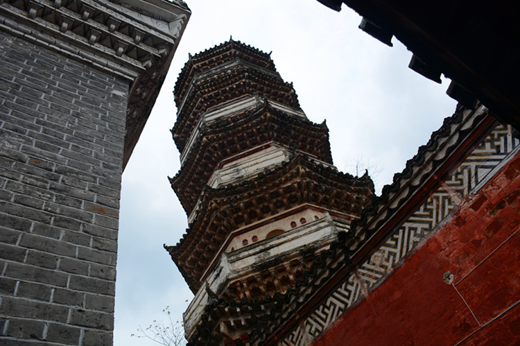 dsc_5905__.jpg