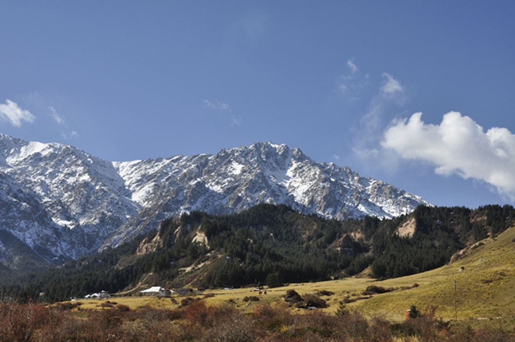 _dsc0352.jpg