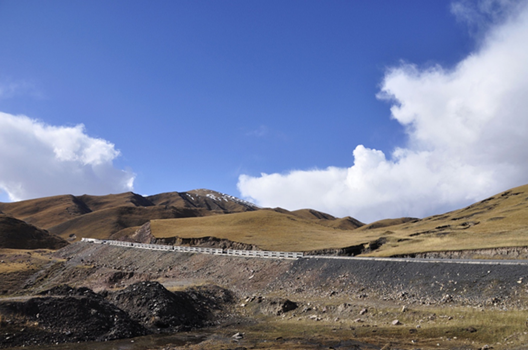 _dsc0406.jpg