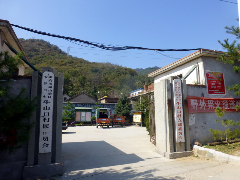 p1260884.jpg