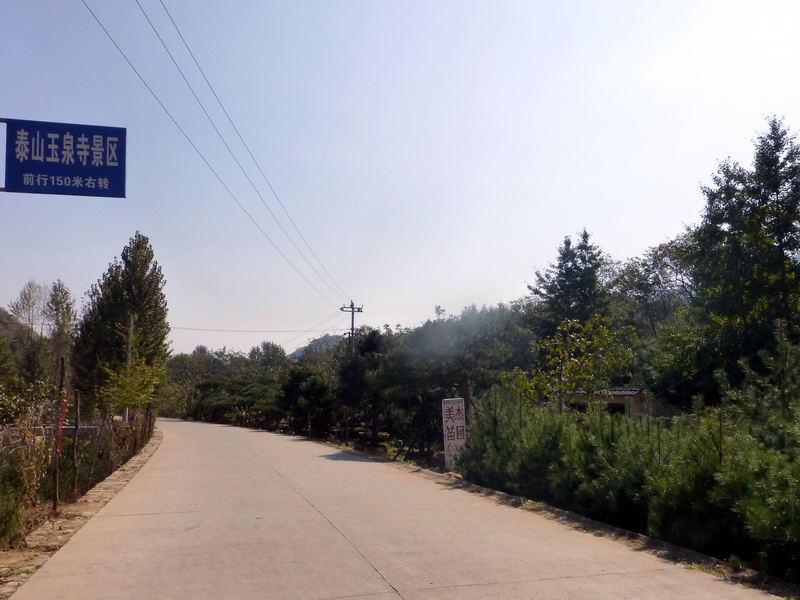p1260886.jpg