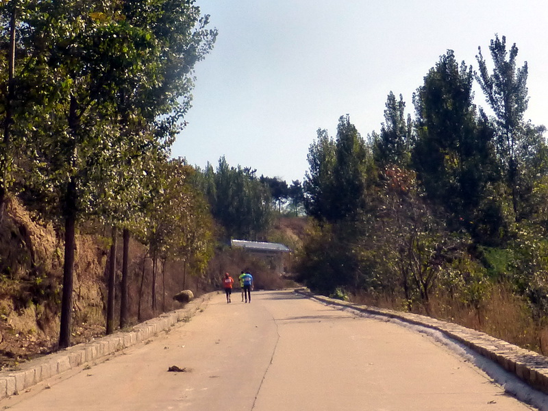 p1260912.jpg
