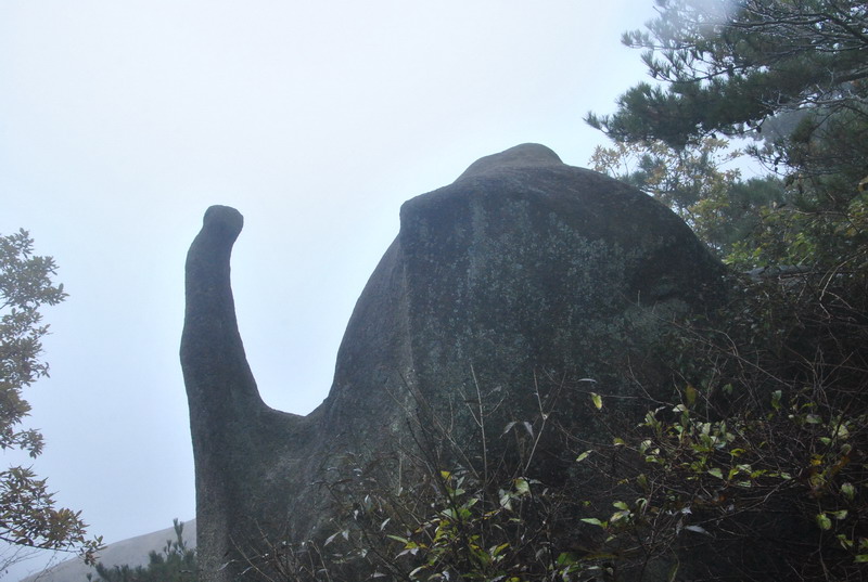 dsc_7010_С.jpg