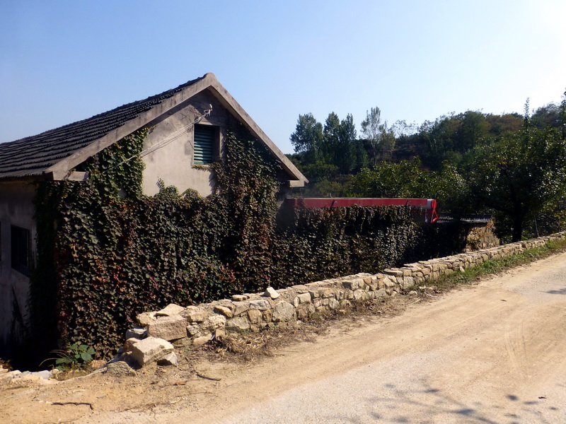 p1260920.jpg