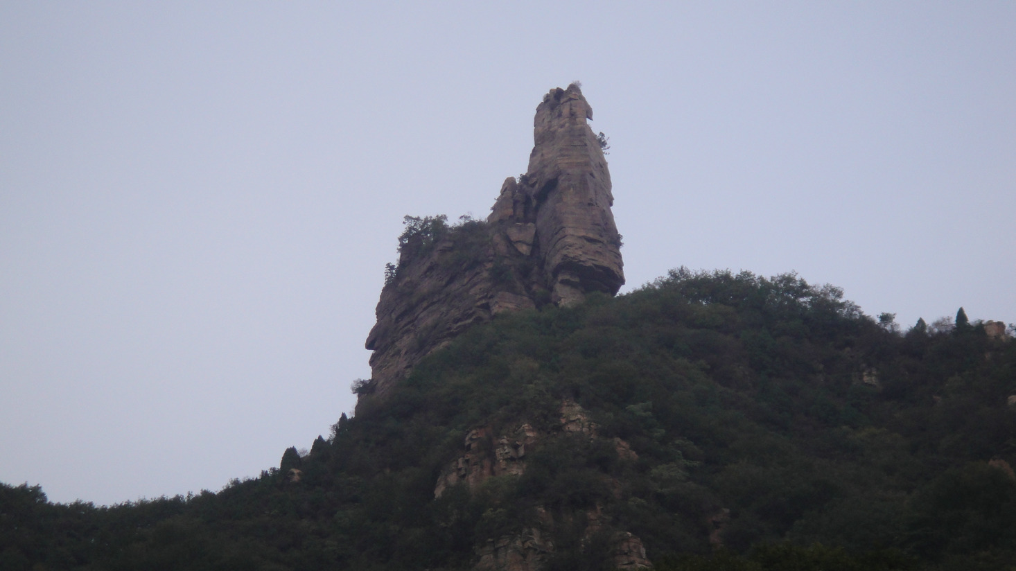 dsc08596.jpg