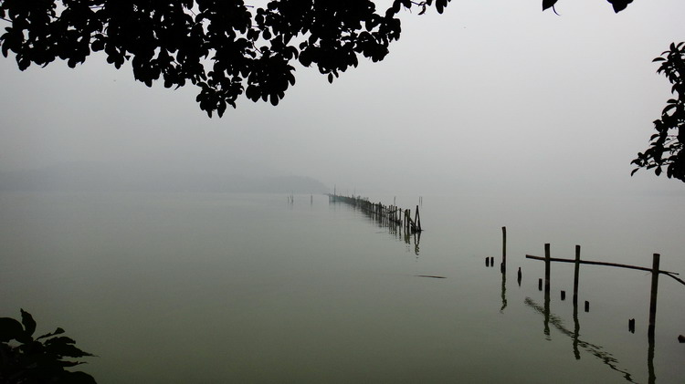 Ǯ019.jpg