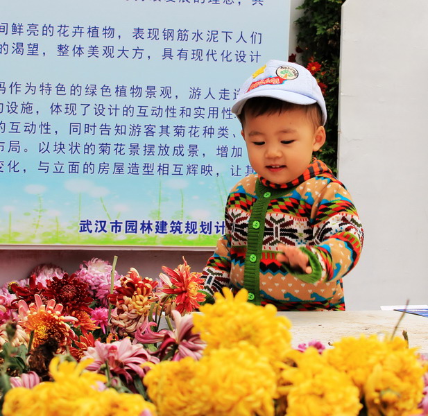 img_9659_缩小大小.jpg