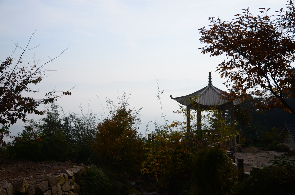 dsc_0518.jpg