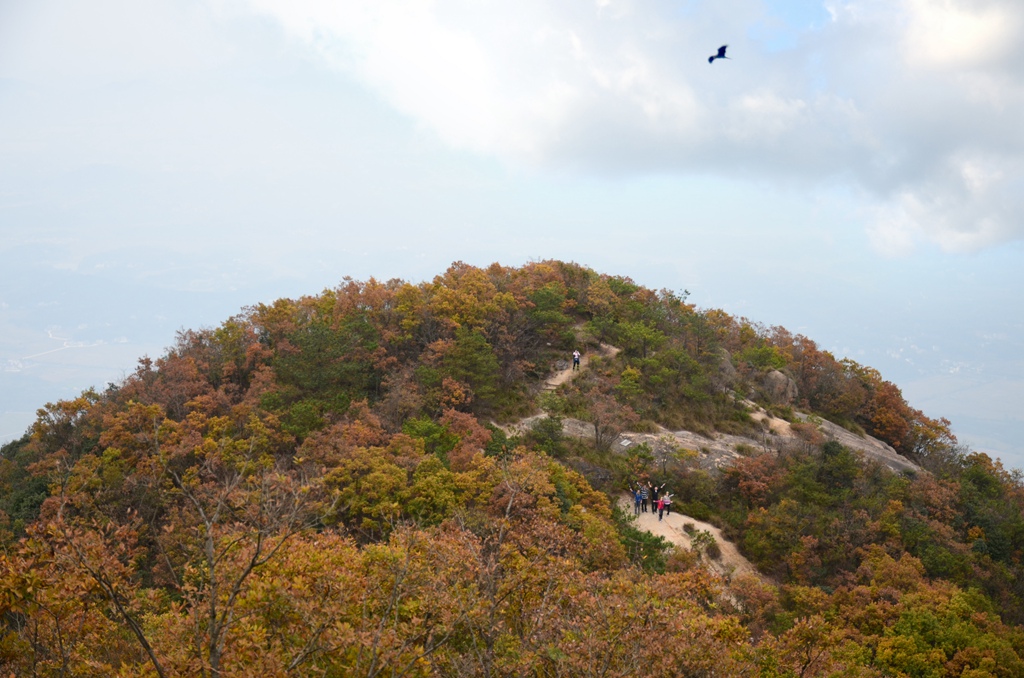 dsc_0583_0.jpg