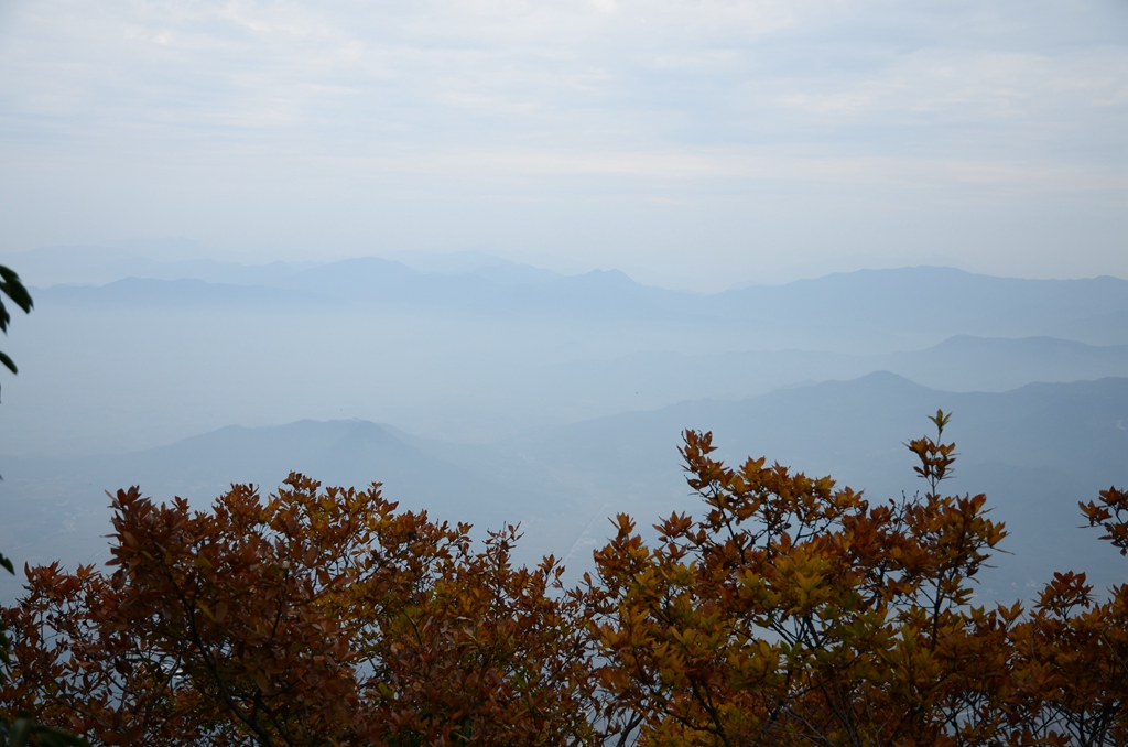 dsc_0595.jpg