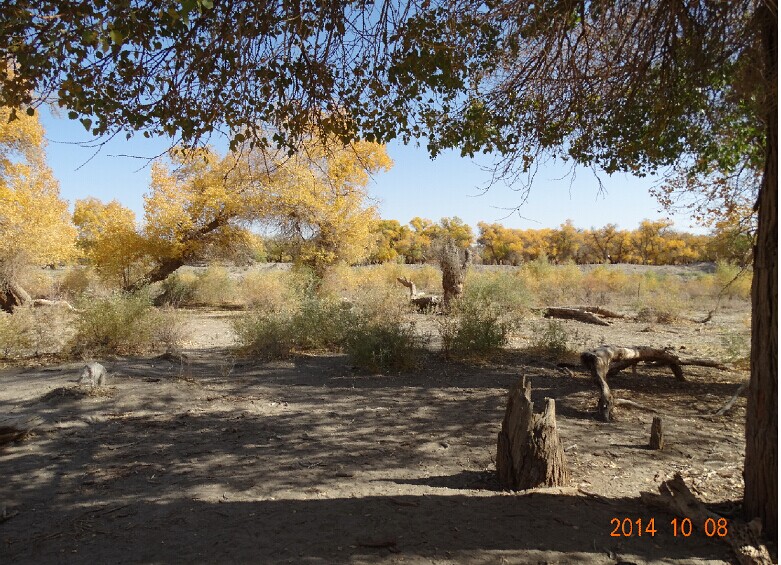 qqͼƬ20141102121319.jpg