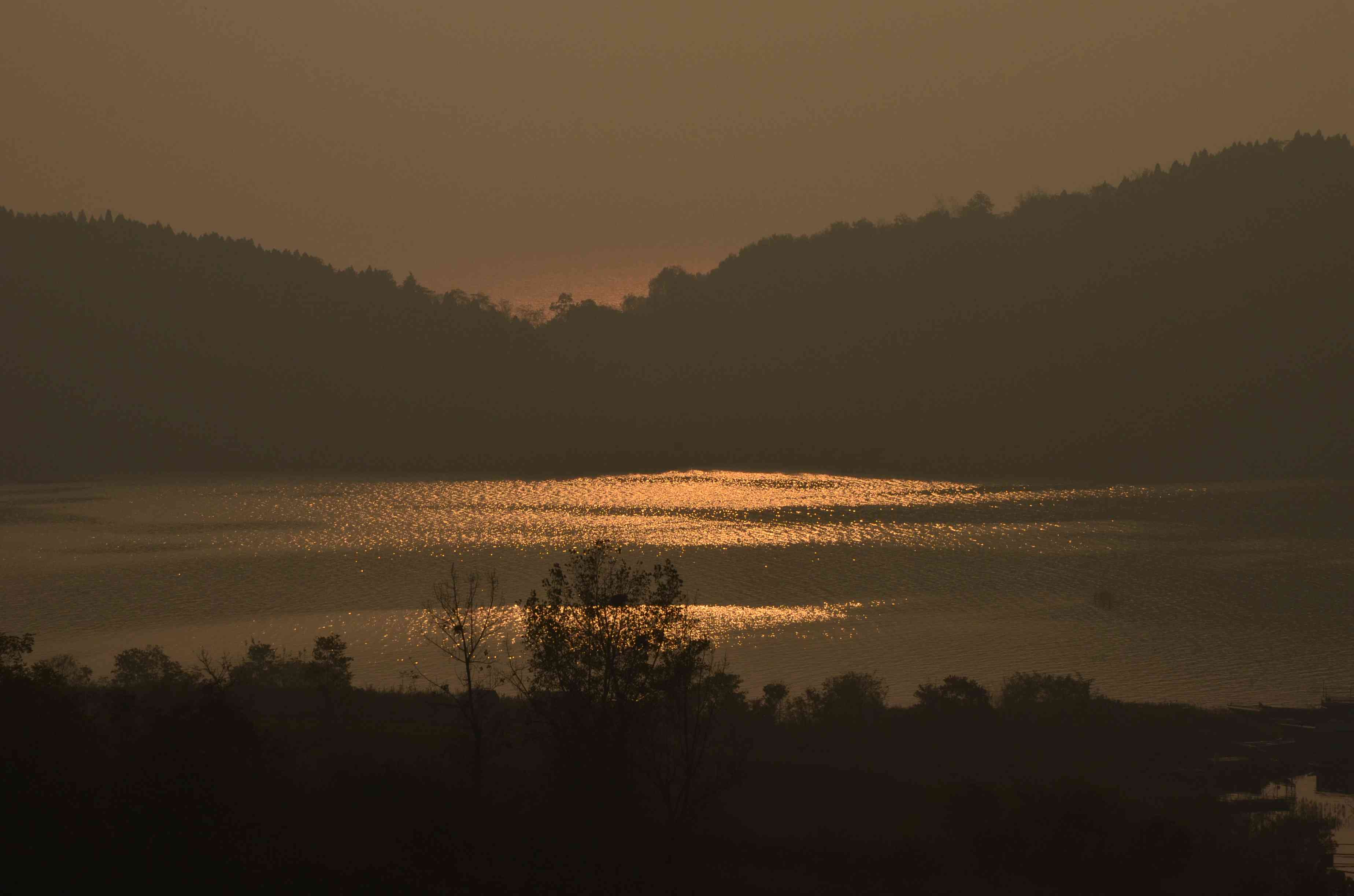 dsc_0001.jpg