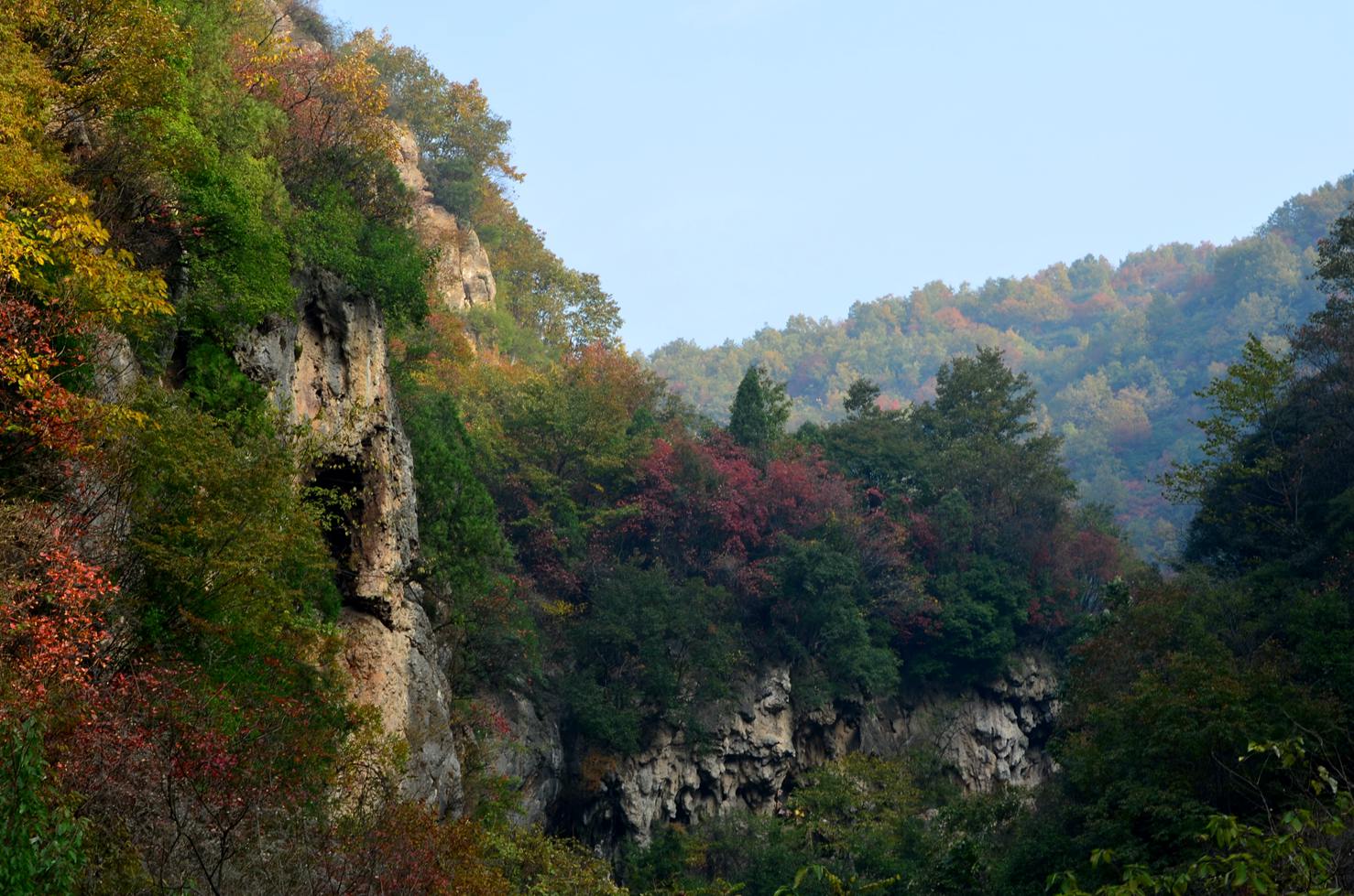 dsc_0095.jpg