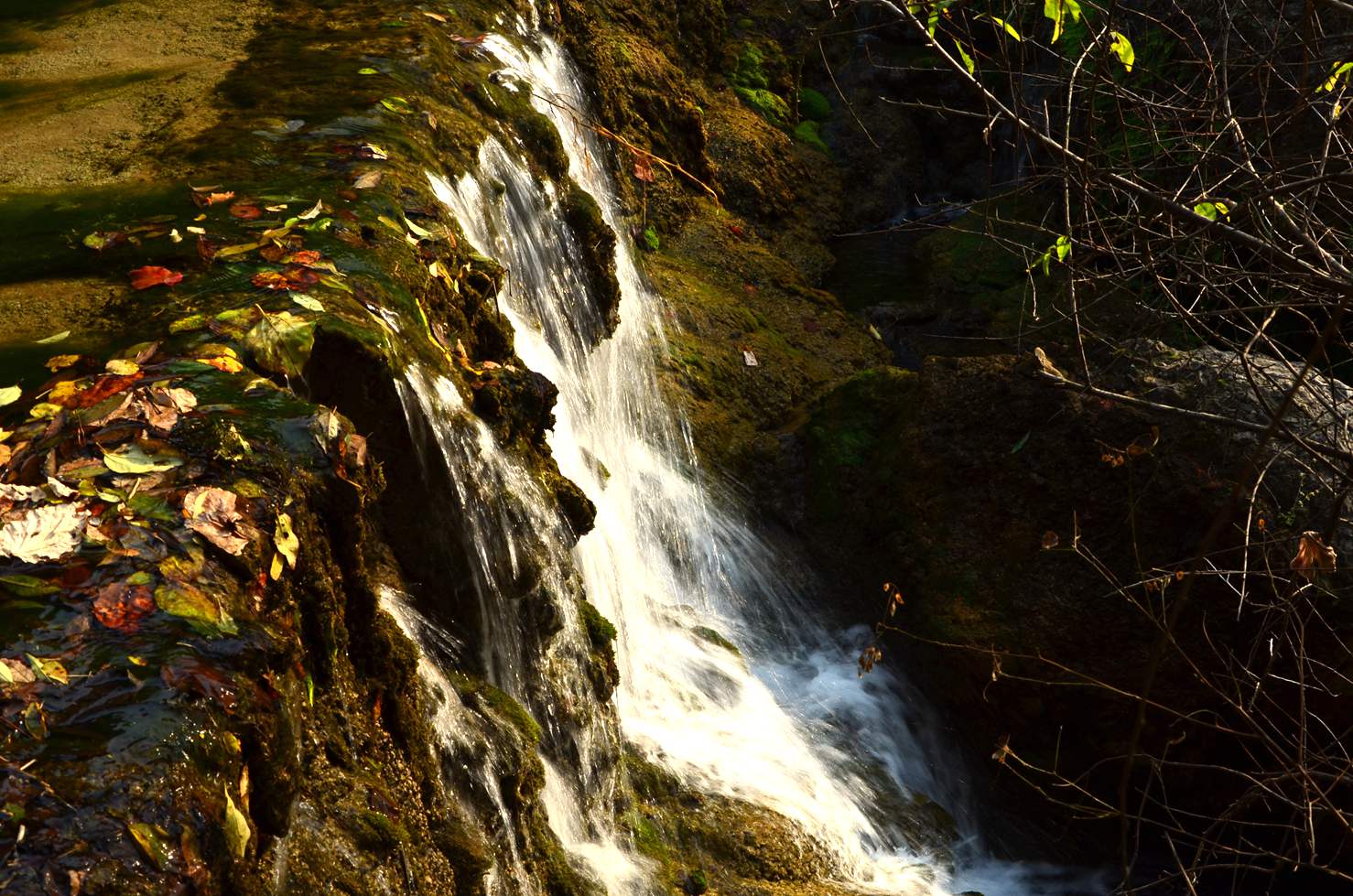 dsc_0059.jpg