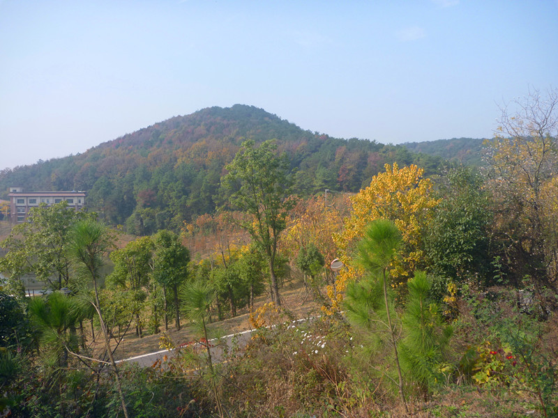 p1240107_.jpg