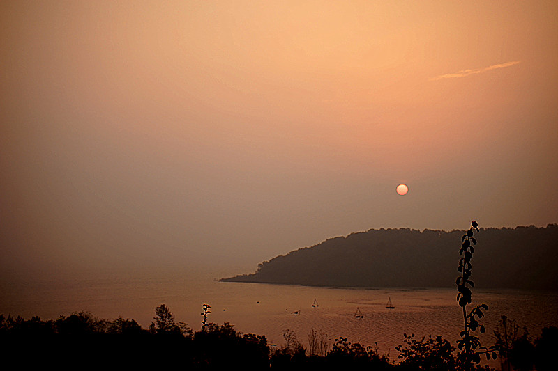 dsc03789_.jpg