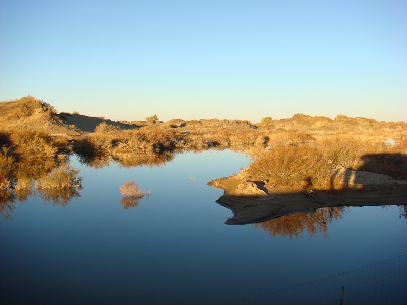 dsc08768_.jpg